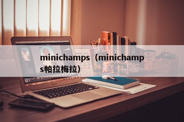 minichamps（minichamps帕拉梅拉）